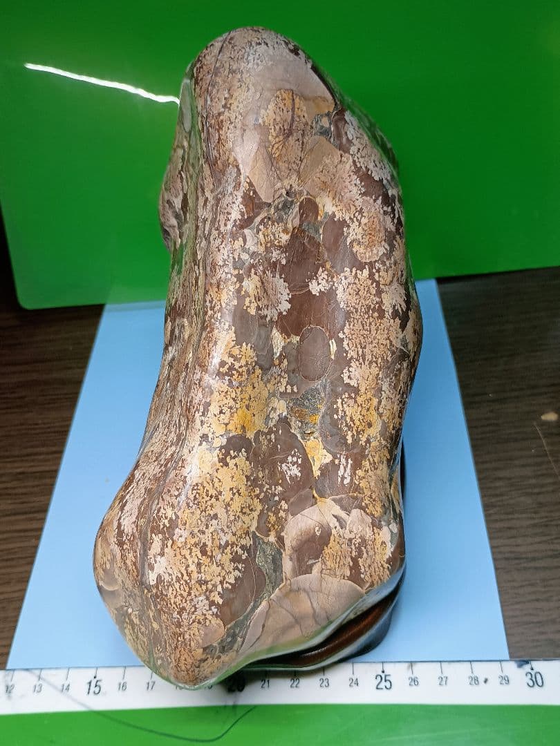 （b-68）白山紋石（参考）