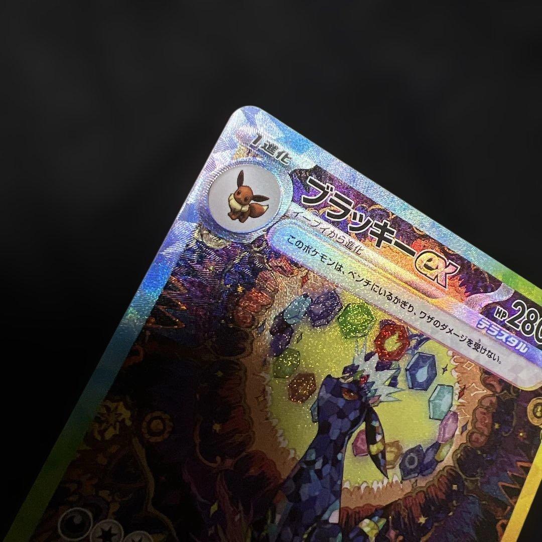 専用出品 ブラッキー ex sar