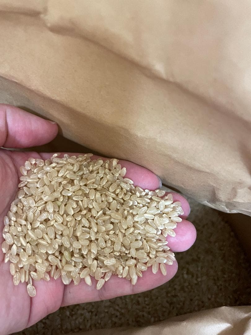 宮城県産 令和7年産 ひとめぼれ 玄米30kg 精米可能（27㎏） 沖縄離島不可