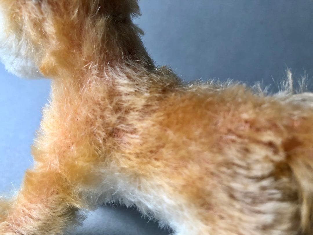 Steiff 　キツネのXorry　最小　FOX