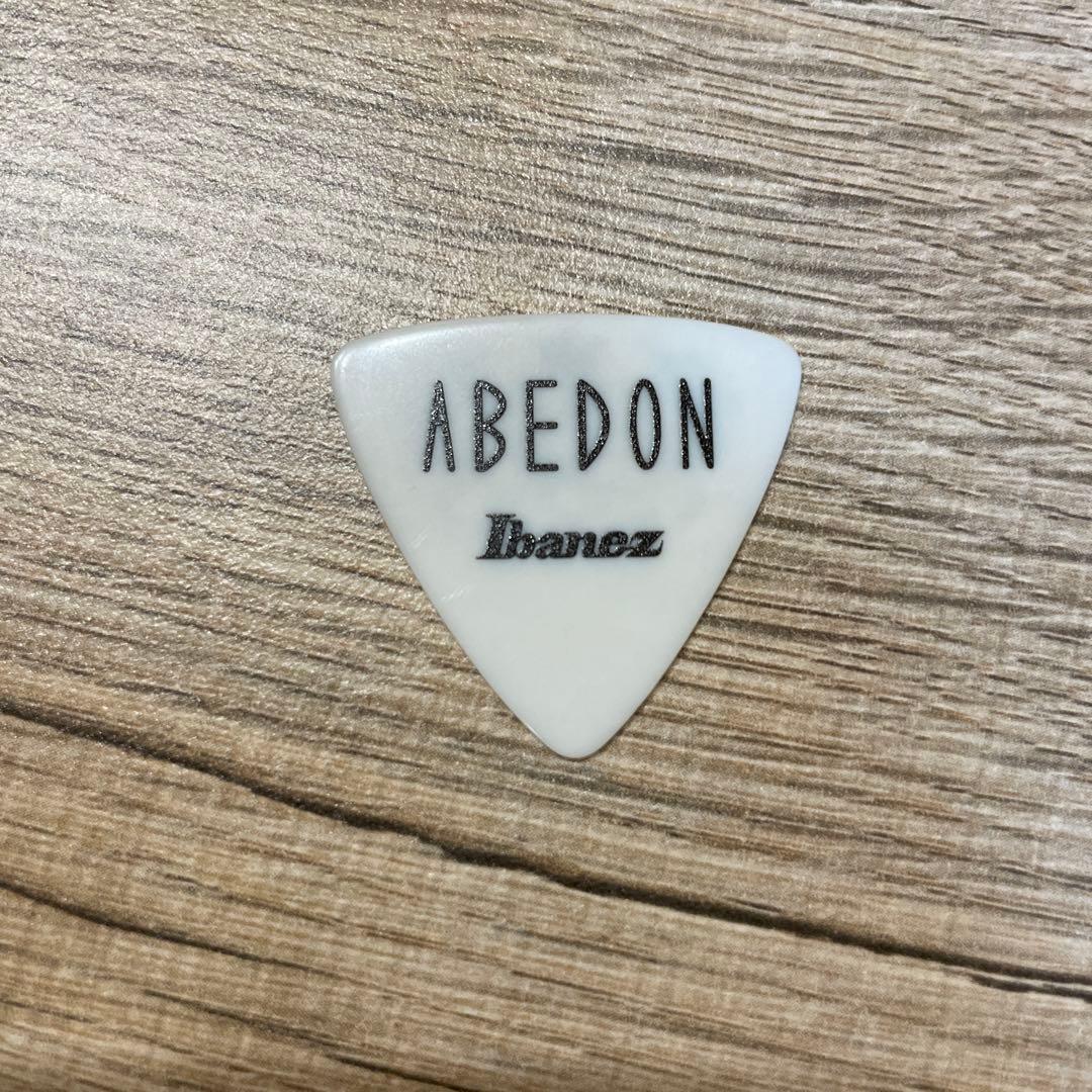 ユニコーン　UC30 若返る勤労　使用ピック　ABEDON