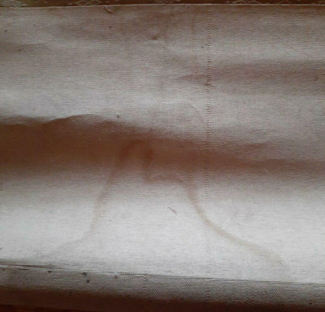 掛け軸/秋風景？/富士？