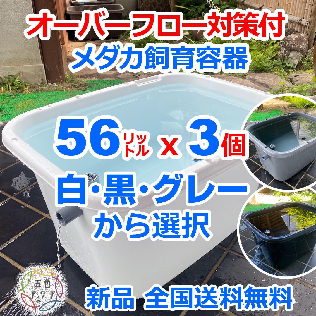 メダカ飼育ケース 56㍑x3個 白黒灰あり 大雨対策 金魚飼育容器 メダカ鉢