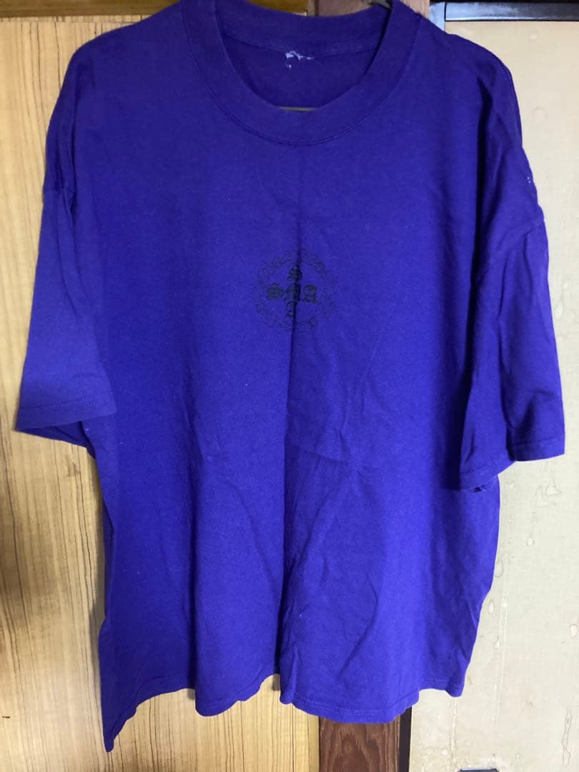 santa monica Tシャツ サンタクルーズ sims vision