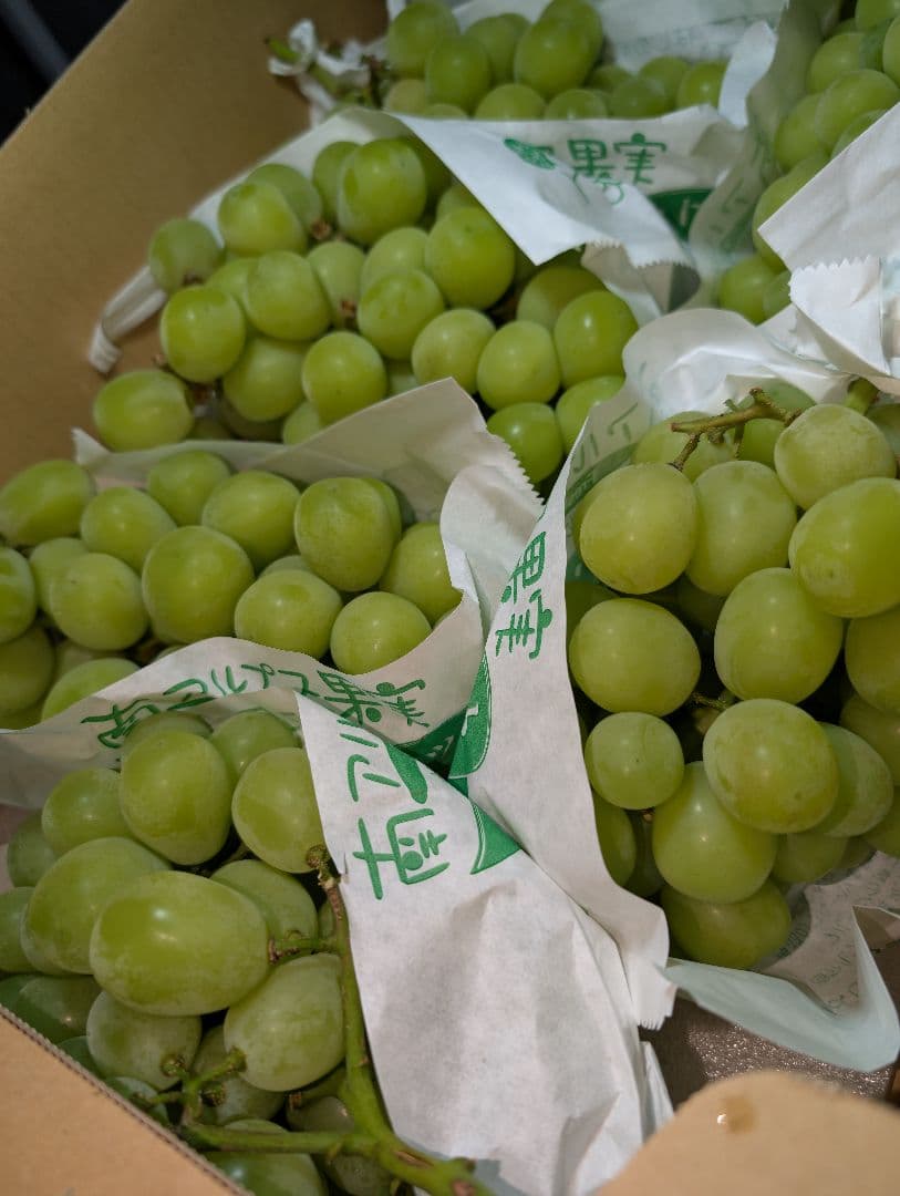 山梨県産ぶどう　シャインマスカット　7房入り　箱込み約5.6kg