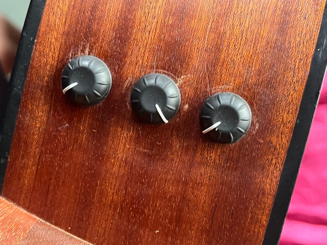 Taylor 110e テイラー エレアコ　fishmanピックアップ美品