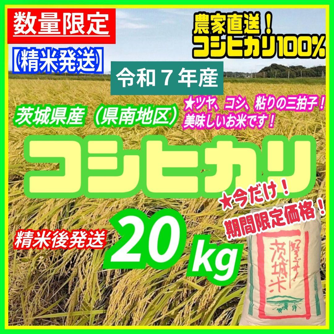 【精米後発送】令和7年産 茨城県産 コシヒカリ 20kg 20キロ ①