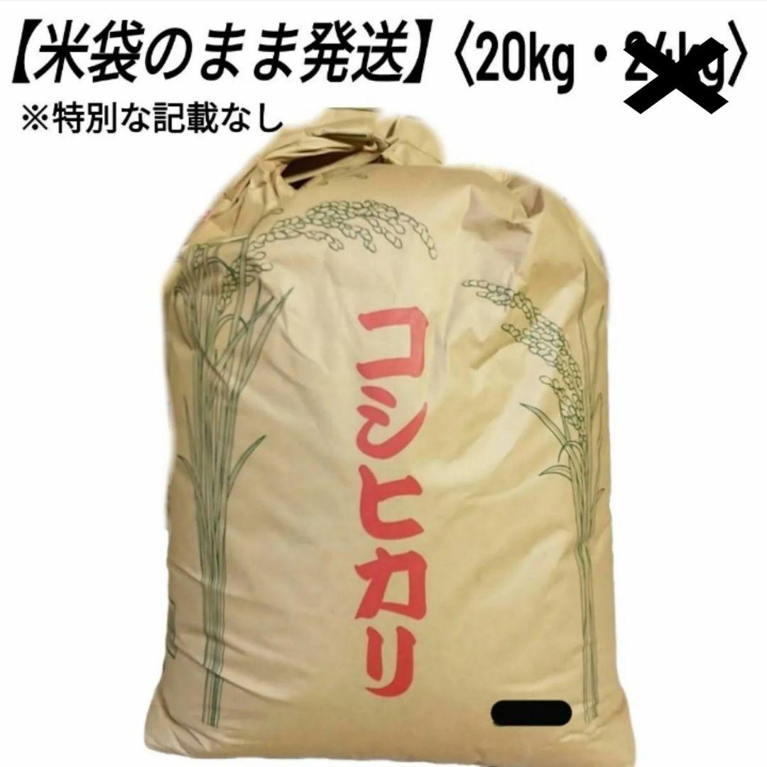 【精米後発送】令和7年産 茨城県産 コシヒカリ 20kg 20キロ ①
