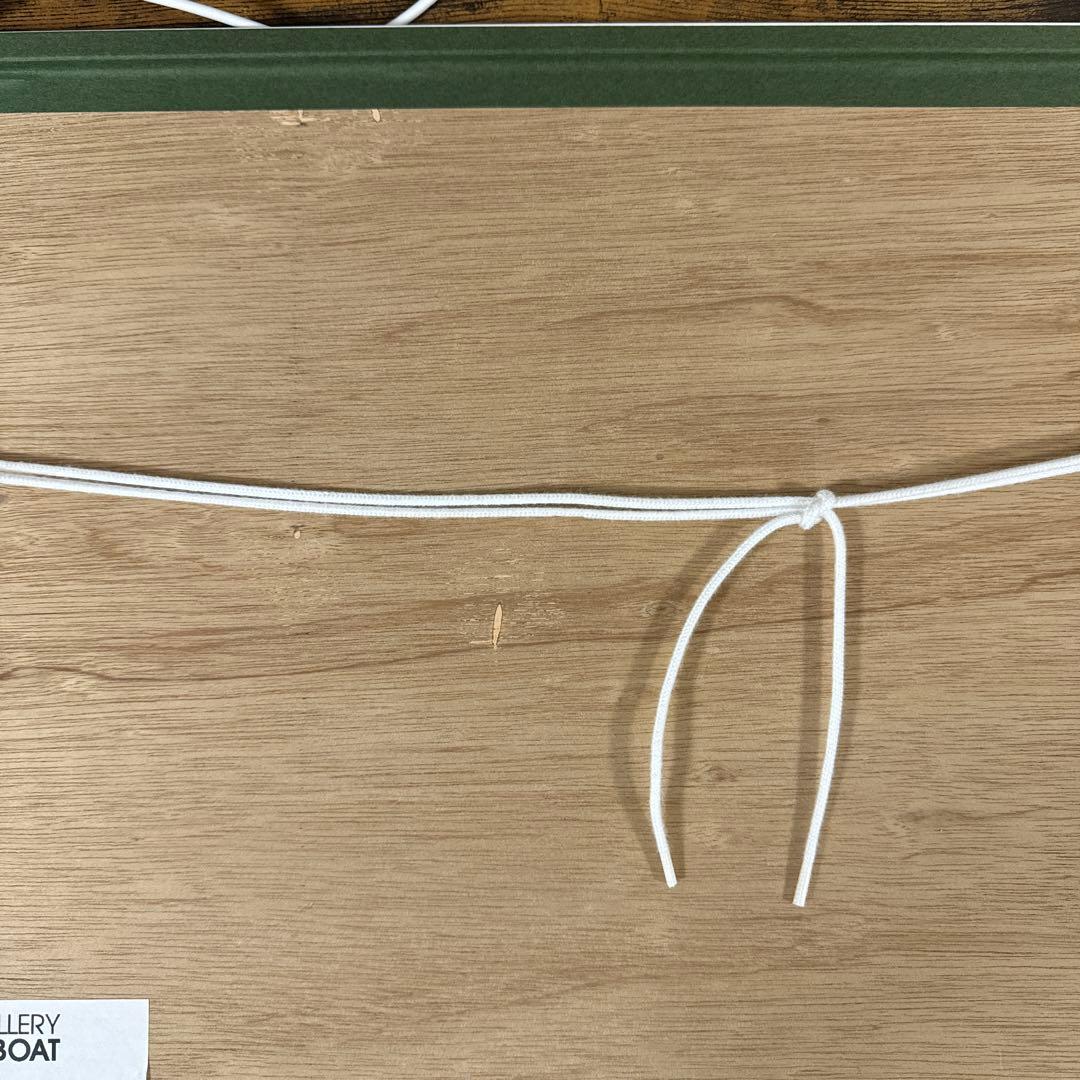 入手困難！蜷川実花　BABY BLUE SKY - 1