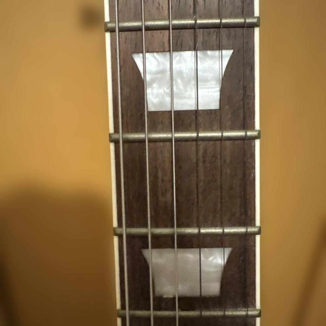 【新品未使用】エレキギター スタンド付き Blitz レスポールタイプ