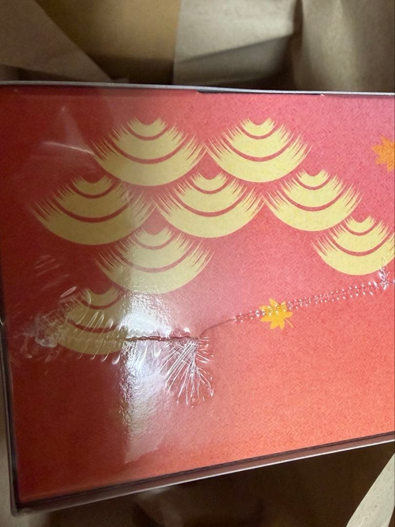 スペシャルBOX ヒロシマ　ポケモンセンターシュリンク付き