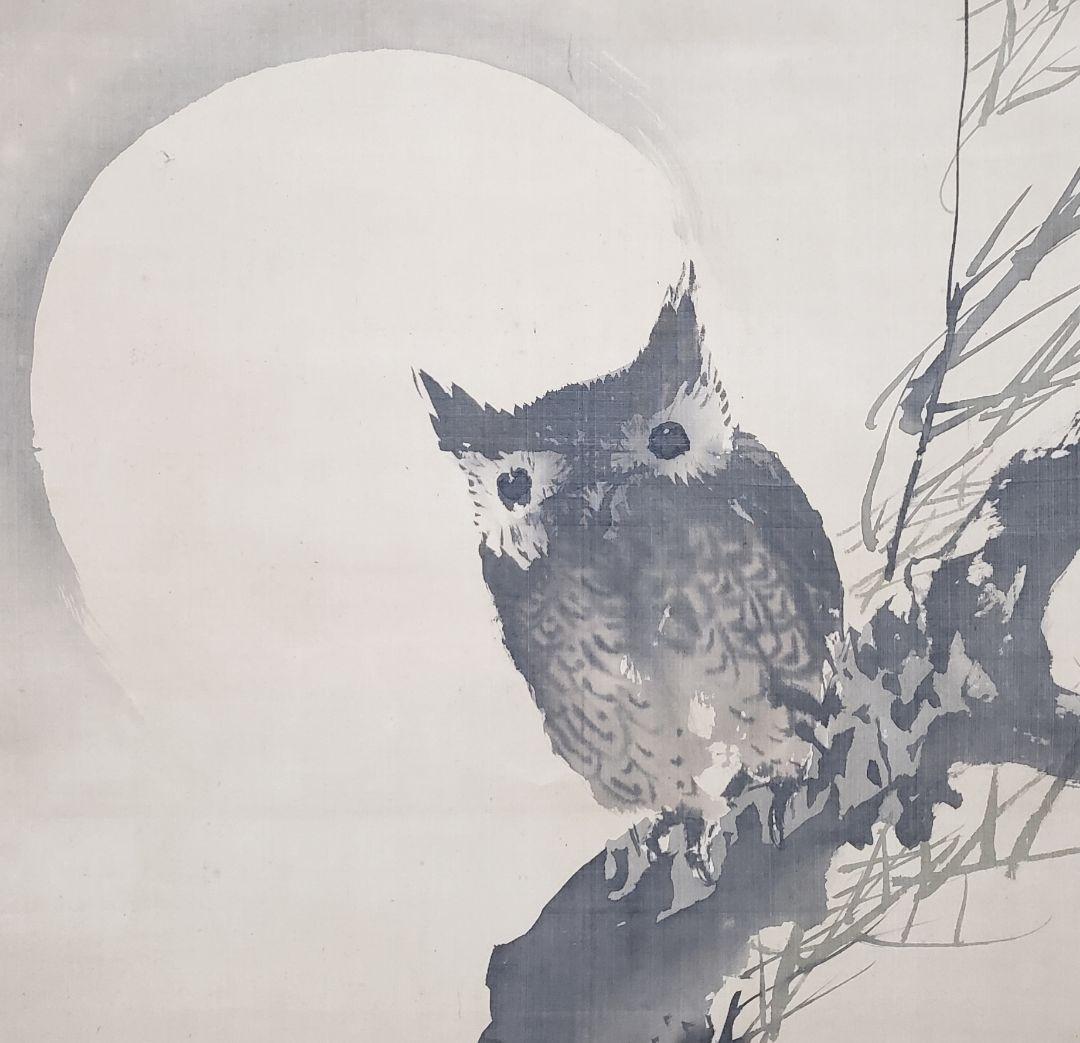 【月下柳に木菟図】福井江亭 2584 ミミズク 梟　掛け軸　肉筆