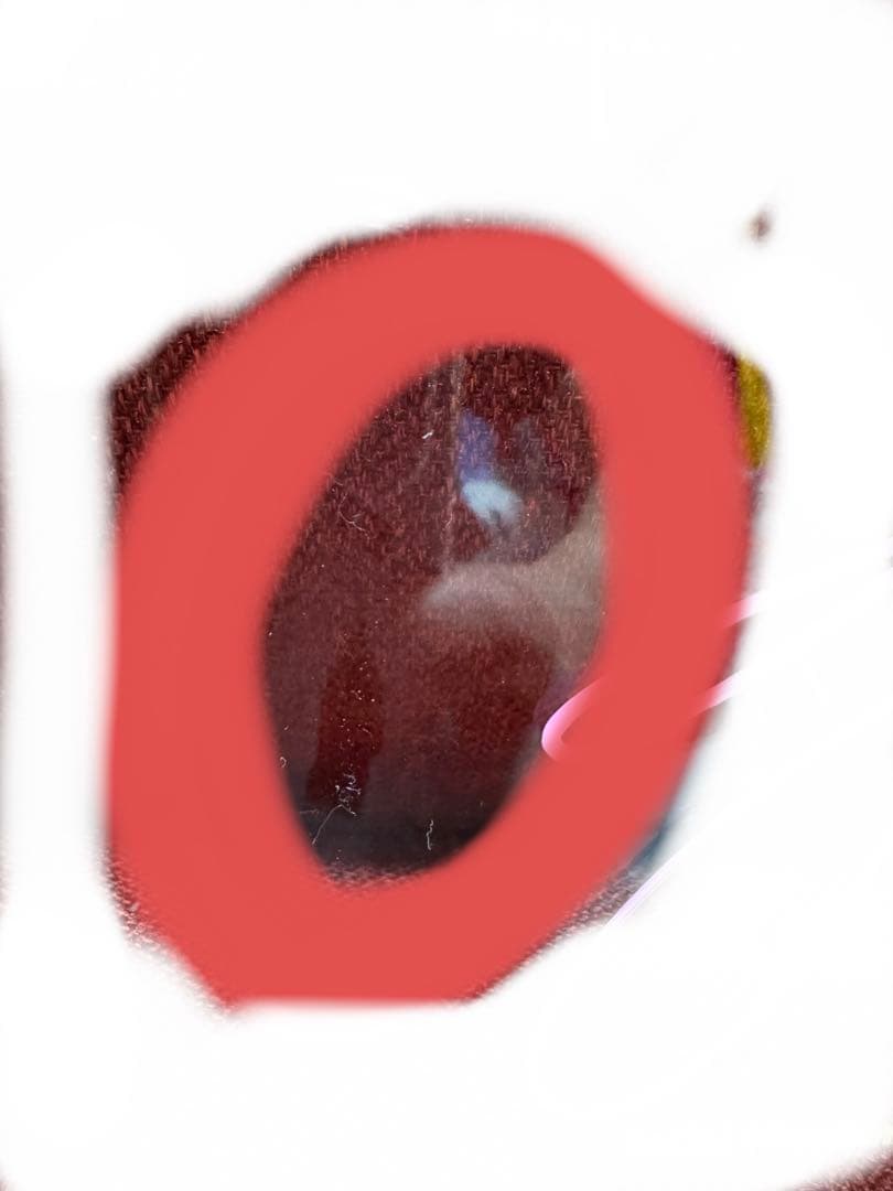 セレッソ大阪 サイン 30周年 アクリルプレート