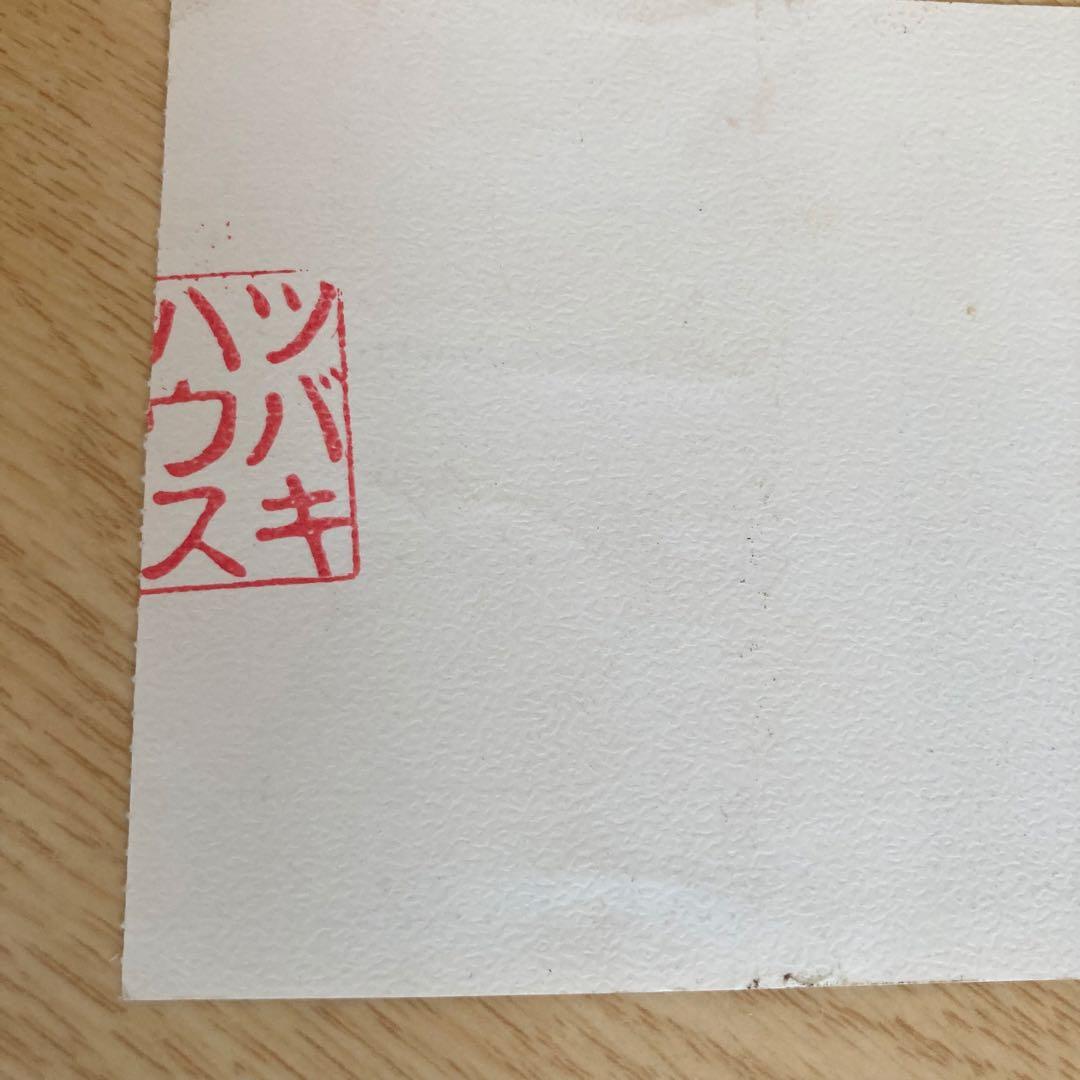 THE LOUNGE LIZARDS ツバキハウス ライブチケット半券 1983