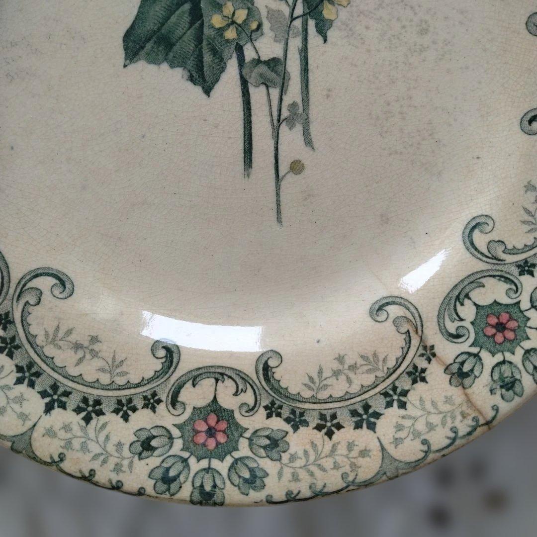 ライン他あり・ショワジールロワプレート・切り花/フランスアンティーク