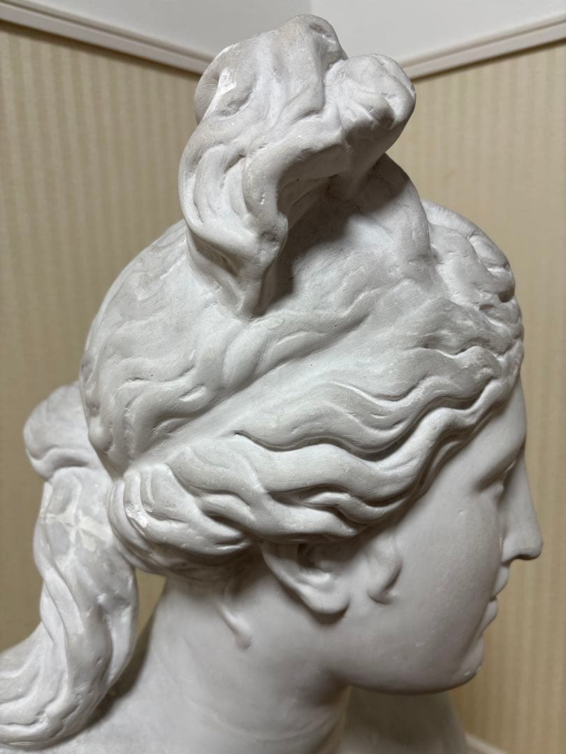 石膏像　カピトリーノのヴィーナス胸像(カッパ)　大型