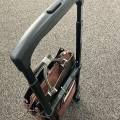 スワニー　ウォーキングキャリーバッグ　フォルティーノ　（XS）