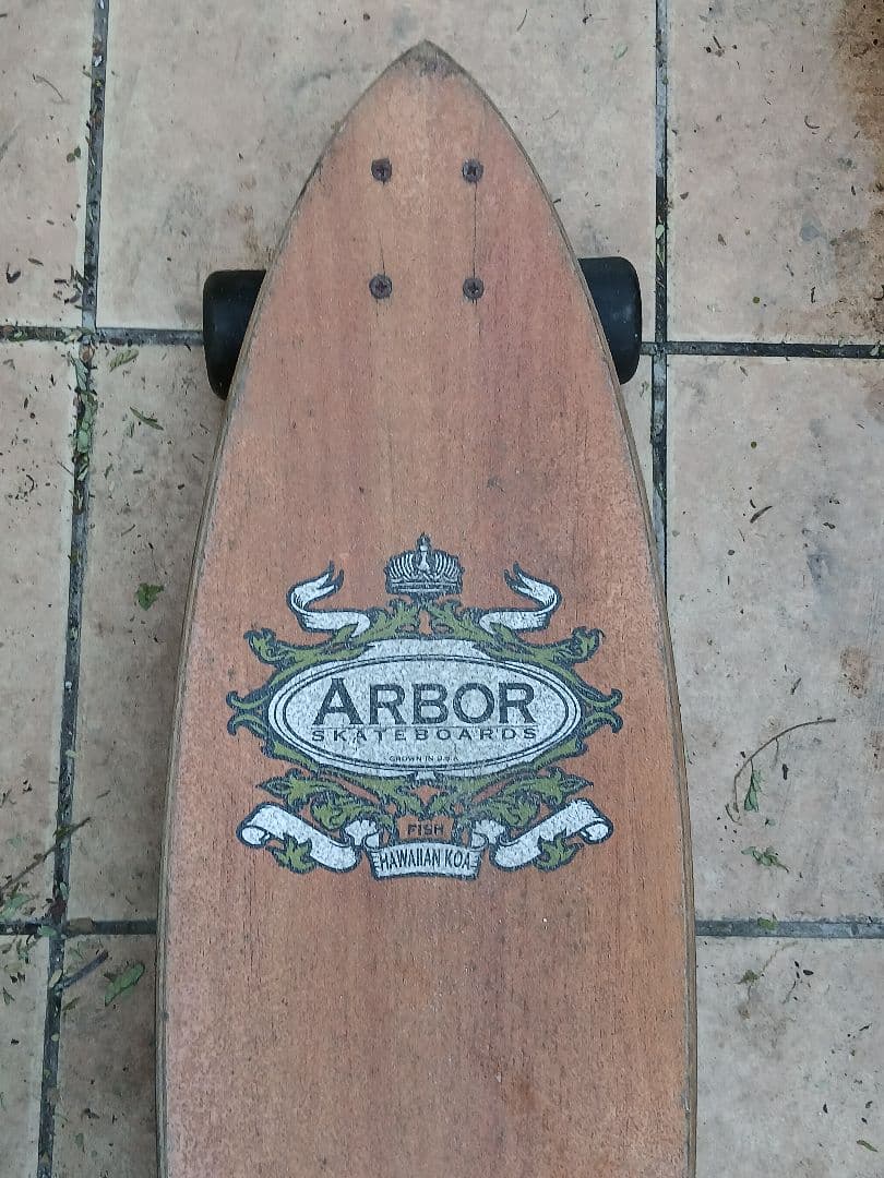 Arbor スケートボード　オールドスタイル