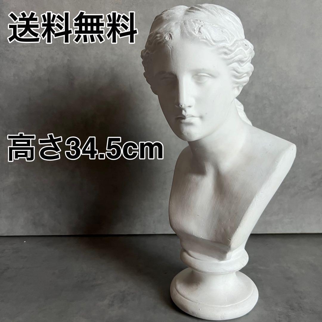 希少 ミロのヴィーナス 石膏 胸像 デッサン アート 彫刻 美術 芸術 アート