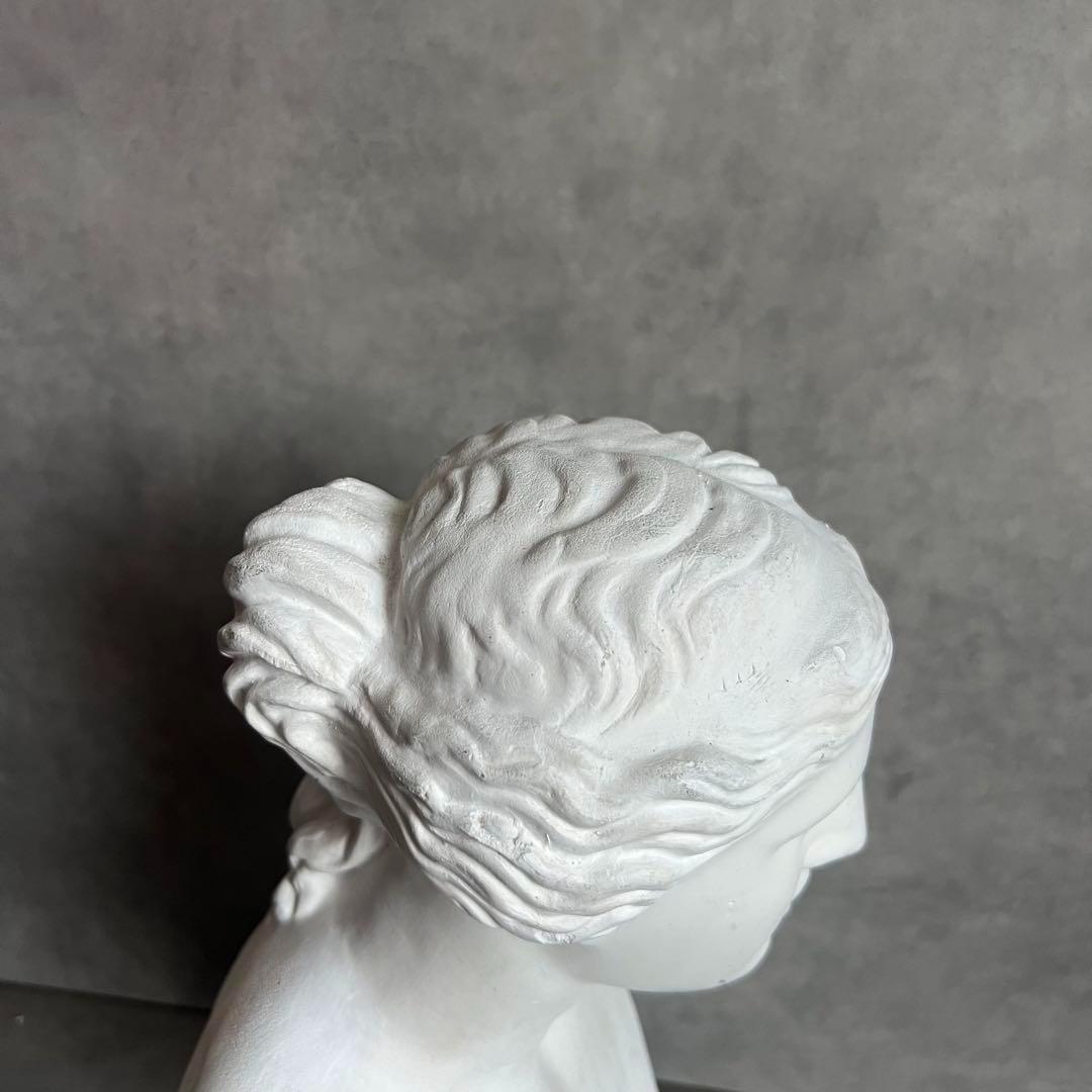 希少 ミロのヴィーナス 石膏 胸像 デッサン アート 彫刻 美術 芸術 アート