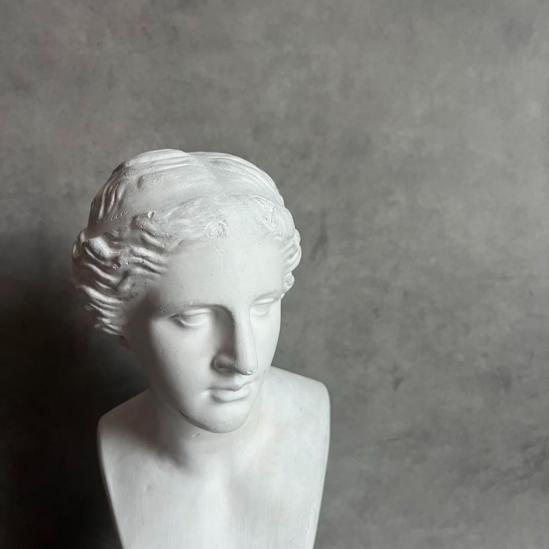 希少 ミロのヴィーナス 石膏 胸像 デッサン アート 彫刻 美術 芸術 アート