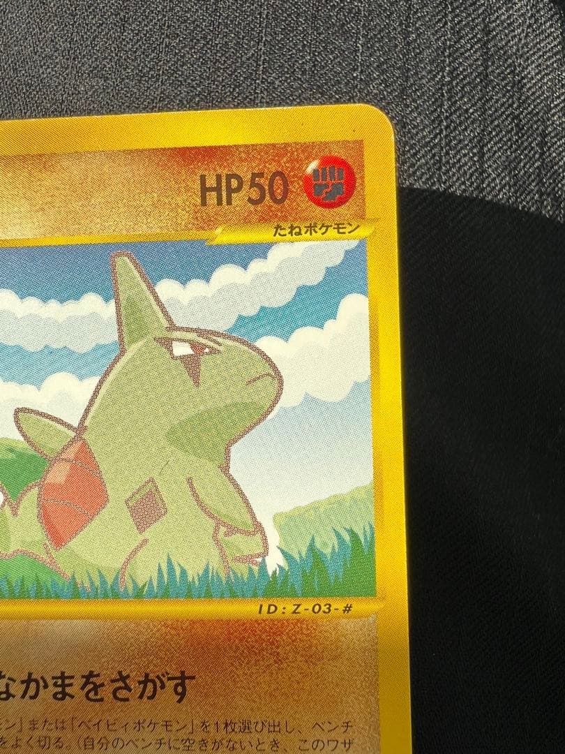 ピカチュウ ヨーギラス ポケモンカードe-ANAスペシャル'01バージョン-