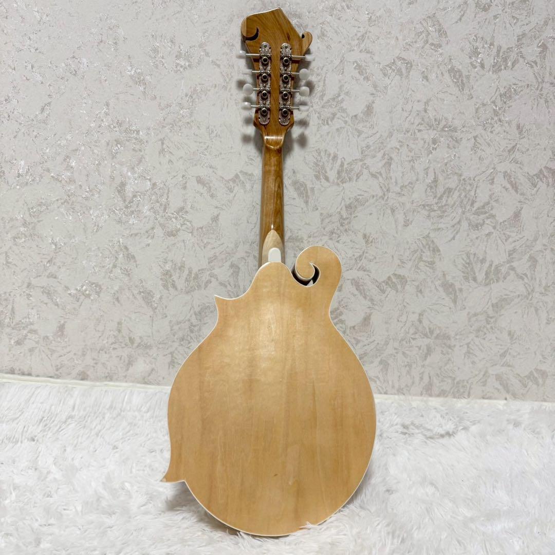 『希少美品』Mylowe フラットマンドリン ハードケース付き