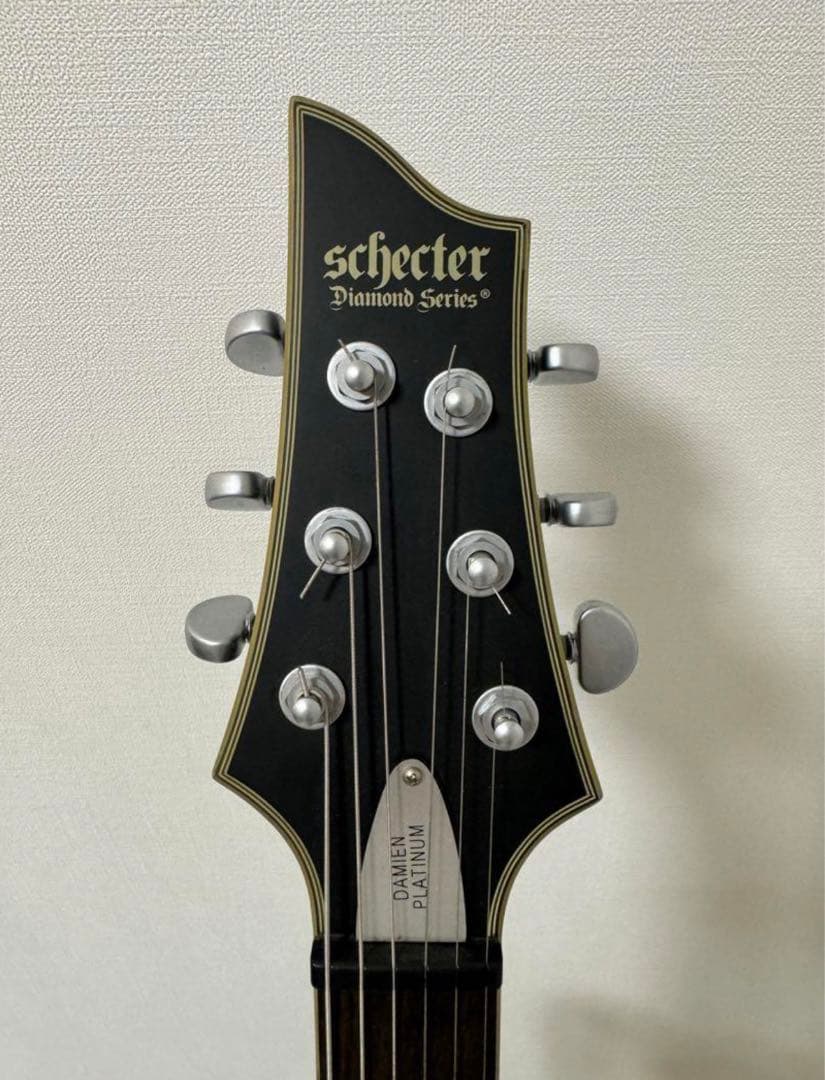 エレキギターシェクターSCHECTER Damien