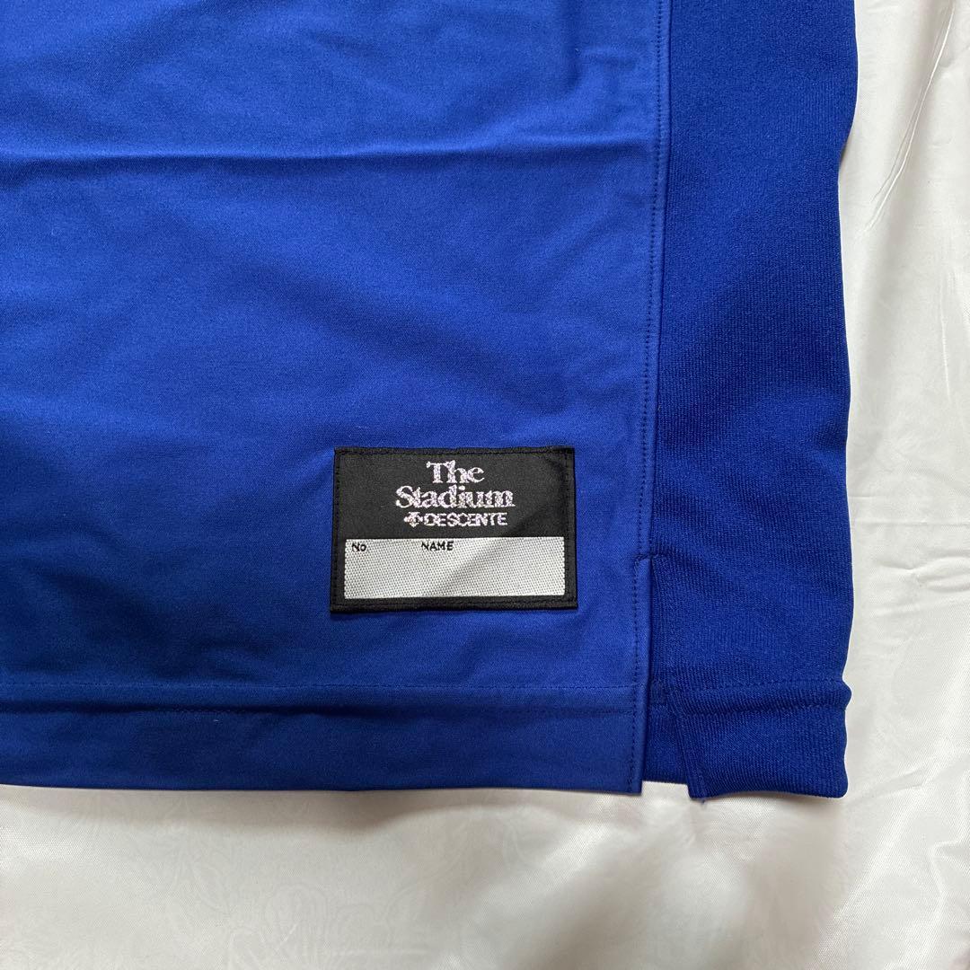 デサント　ウィンドブレーカー　日本ウェルネススポーツ大学　Lサイズ　ISHII入