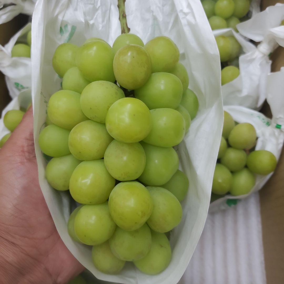 4️⃣ 山梨県産 シャインマスカット ９房入り 箱込み5.3キロ