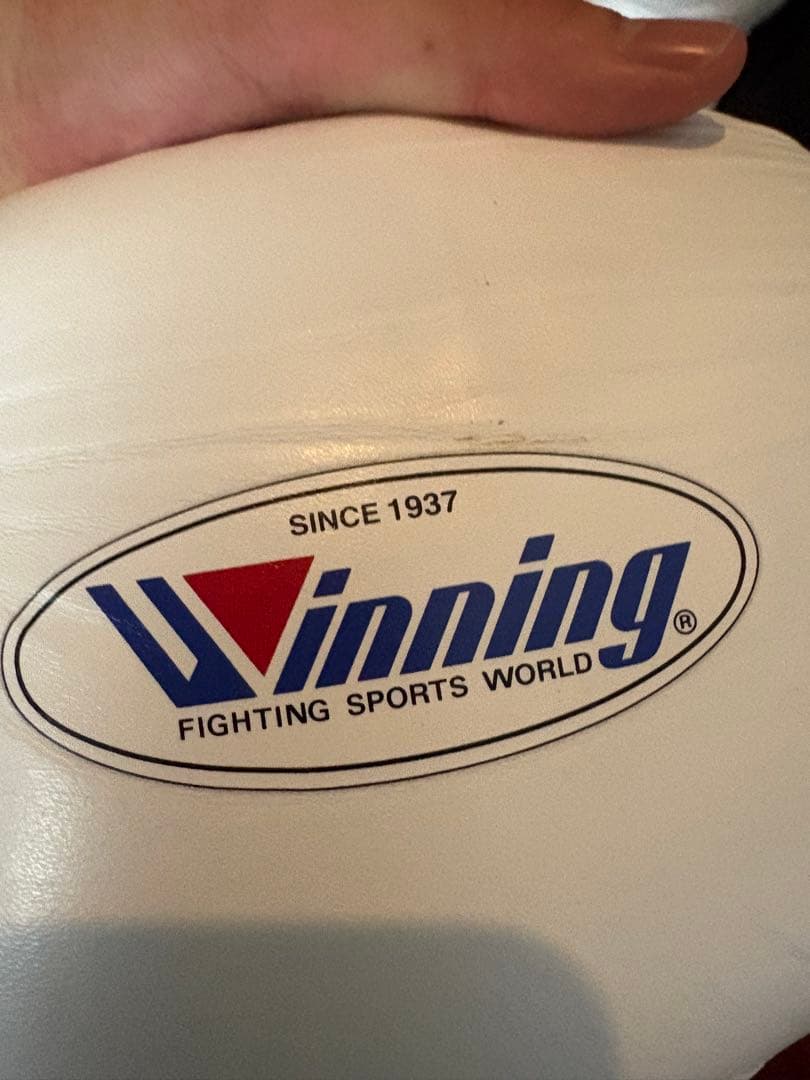 winning グローブ12オンス