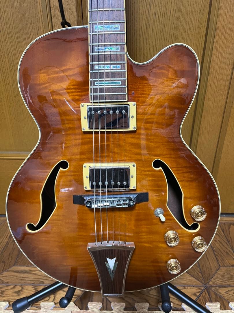 Ibanez ARTCORE AF86-VLS-12-01ケース付き