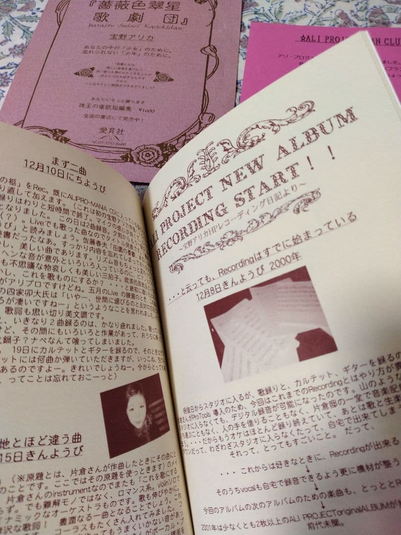 ♡さゆり♡アリプロマニアグッズ②