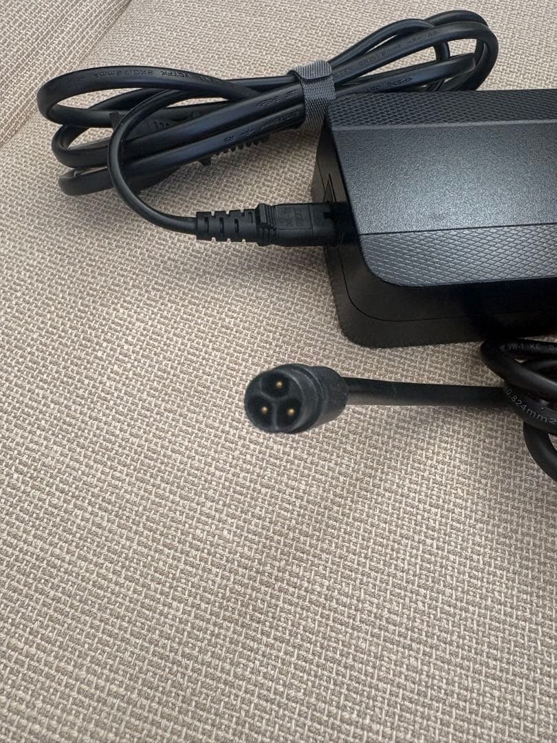 MATE BIKE INTERNATIONAL IVS 充電器