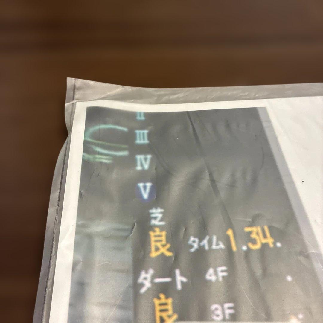 第29回フェブラリーステークス 記念印刷物　テスタマッタ