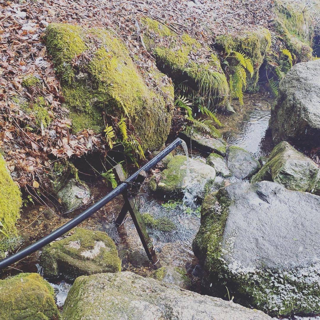 10キロ　クレソン　みかん2箱分　常温発送