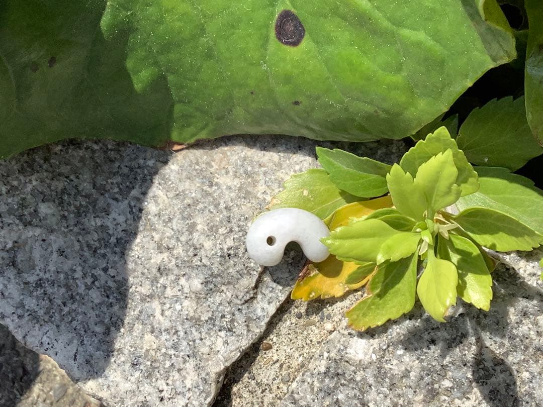 ✳自信の安価卸し　糸魚川翡翠勾玉　本物アイスジェイド鑑別書付　選別出品‼️