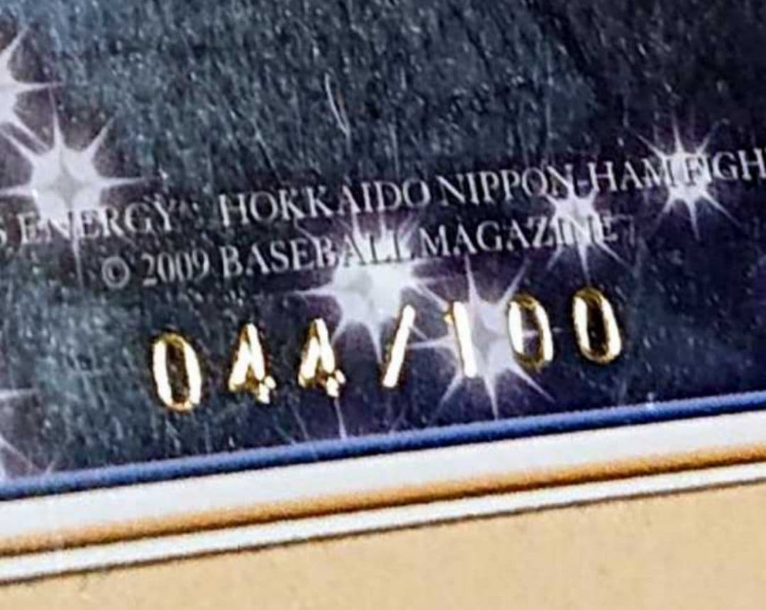 ●『ダルビッシュ有』投手 2009年 BBM シリアルナンバー