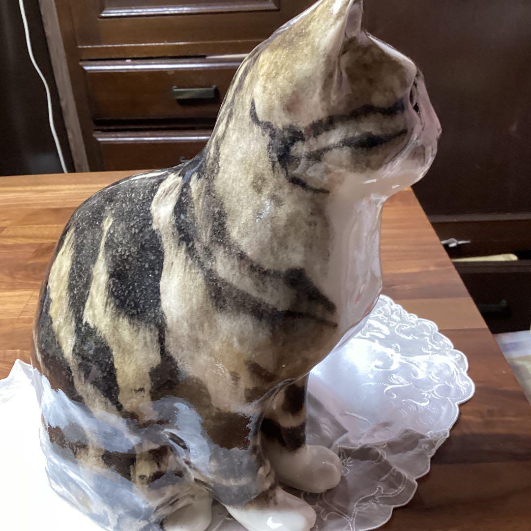 ウィンスタンレーキャット、ケンジントンキャットサイズ6の大きな猫