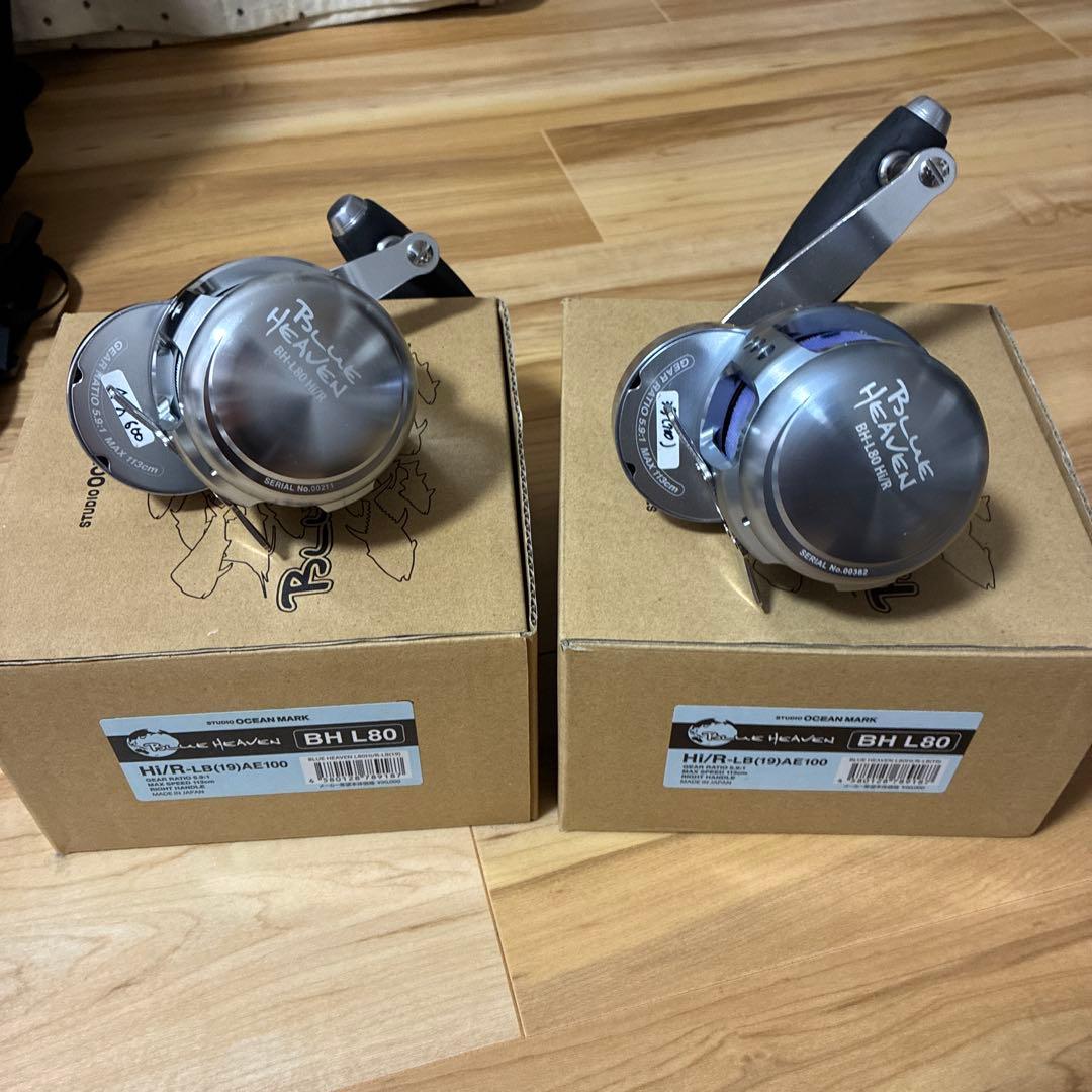 ブルーヘブン BHL80Hi/R-LB(19)AE100 2台