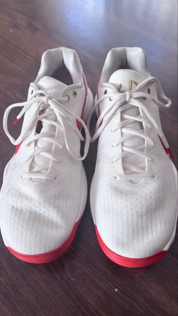 Nike HYPER DANK 2017✴︎Lunar New Year✴︎美品