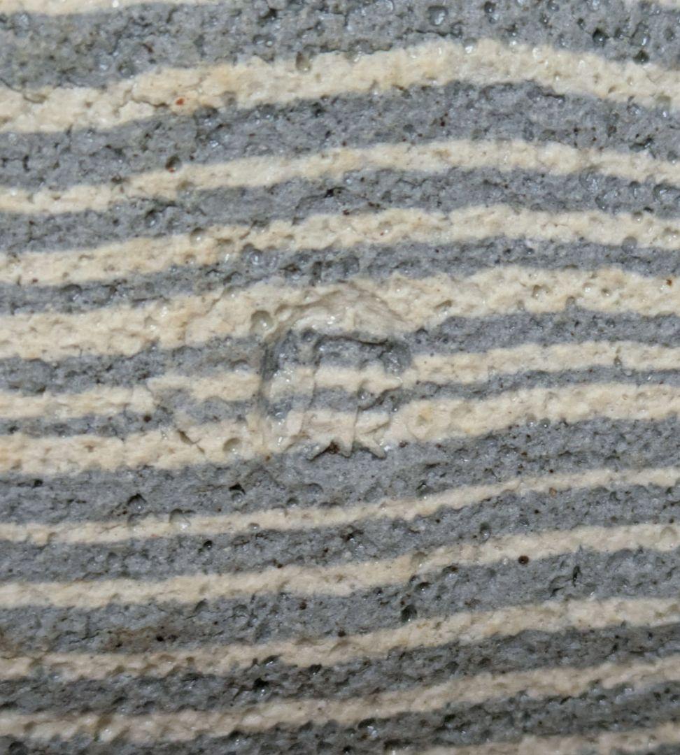 人間国宝【松井康成】造 練上げ嘯裂文葉皿５枚