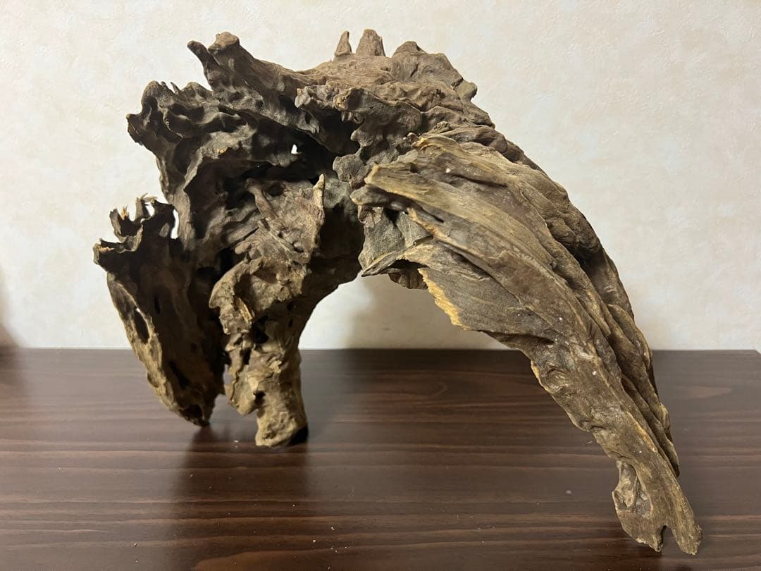 XM-321 流木マシンガンウッド　ブランチウッド　アクアリウム　沈水確認済