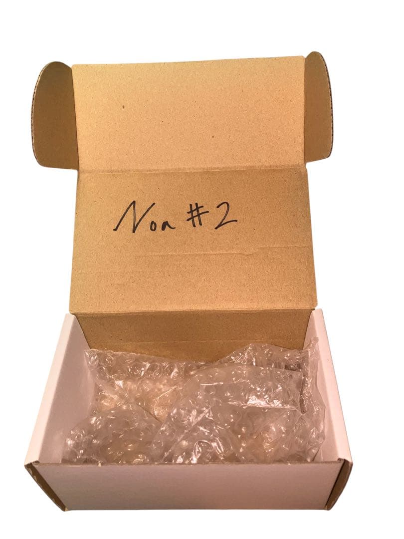 petla noa 初期個体