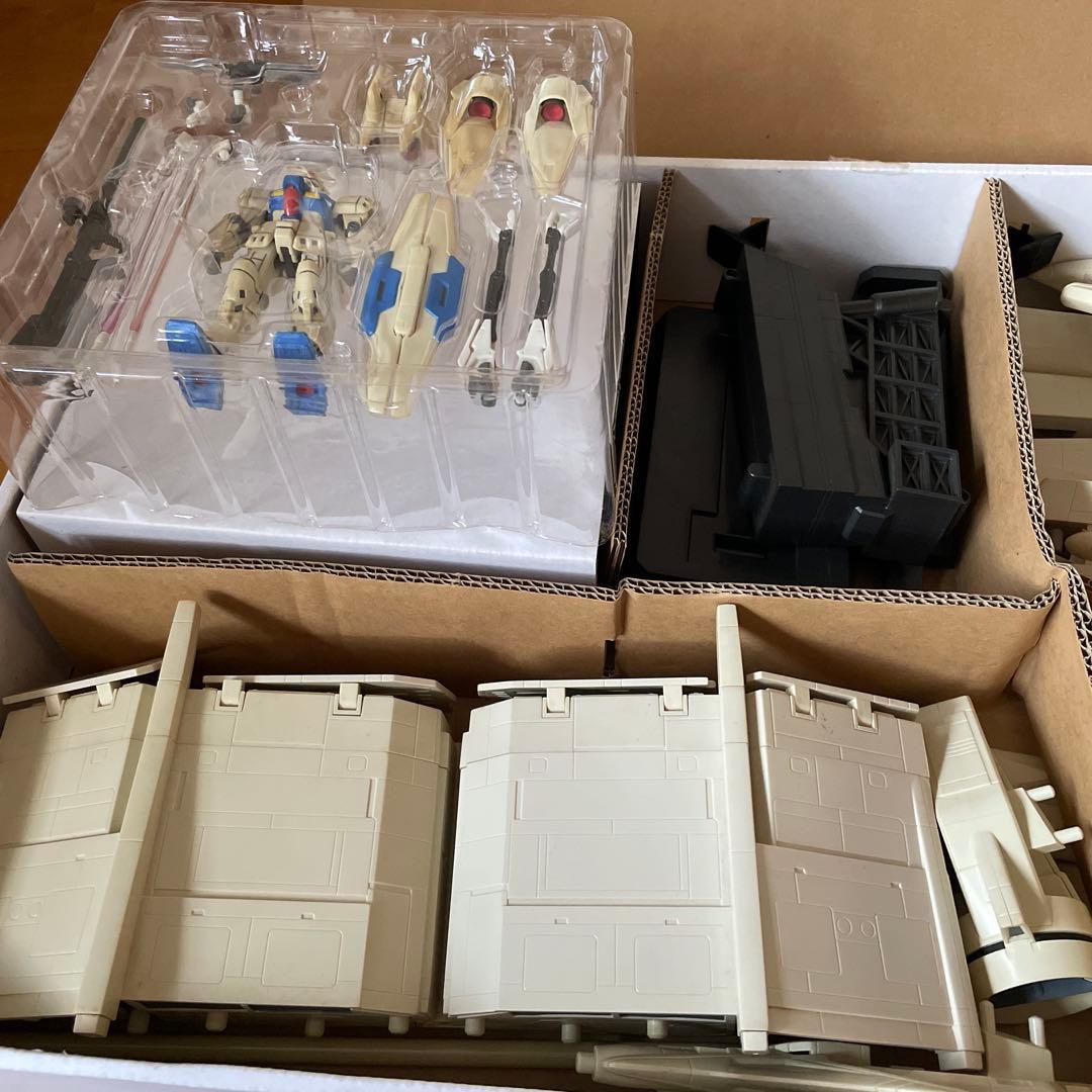 MS IN ACTION デンドロビウム　ジャンク