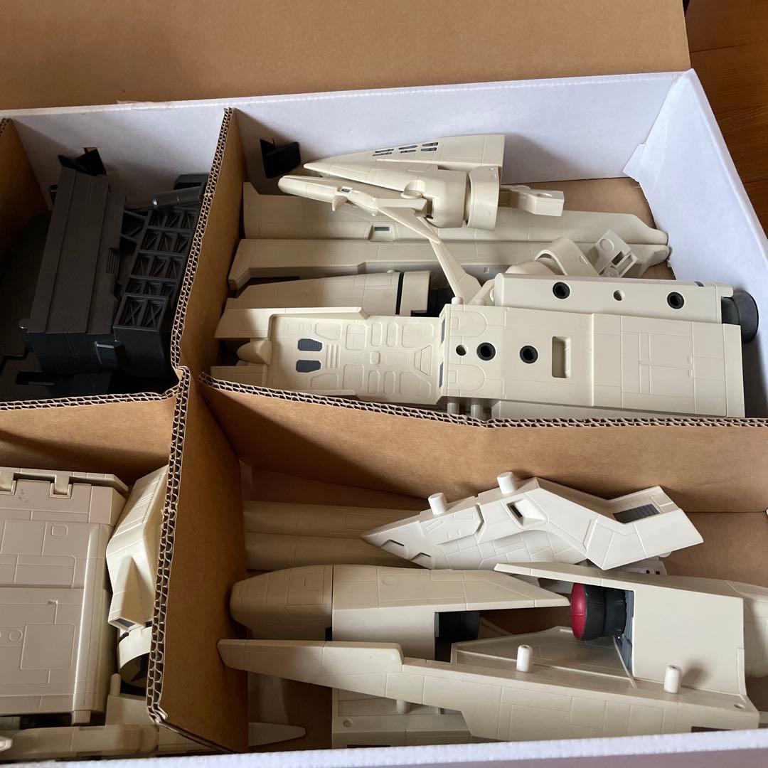 MS IN ACTION デンドロビウム　ジャンク