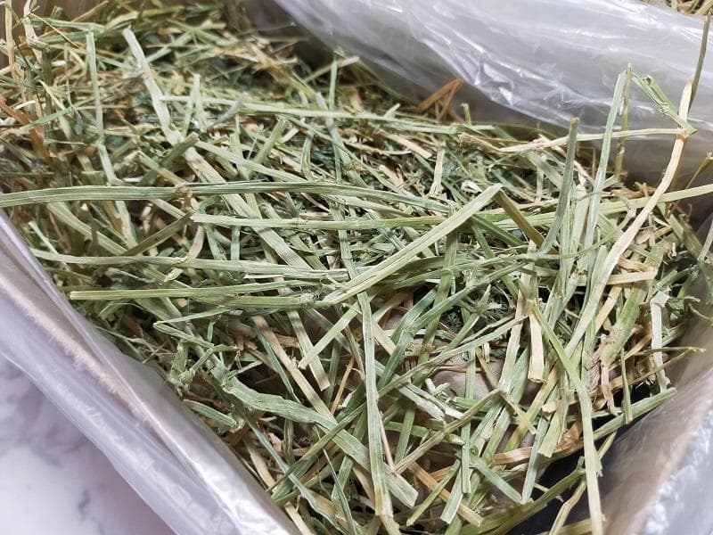 【4/13まで】 カナダ産 チモシー 50kg スーパープレミアム １番刈り