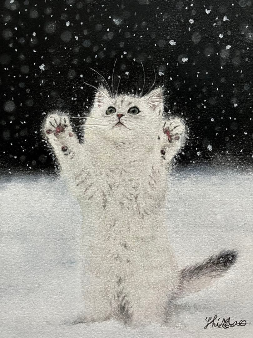 “雪だぁ‼︎” 色鉛筆画 パステル