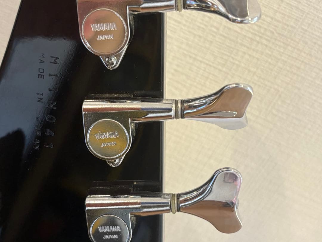 ハードケース、ソフトケース、ストラップ付き！YAMAHA　RBX550