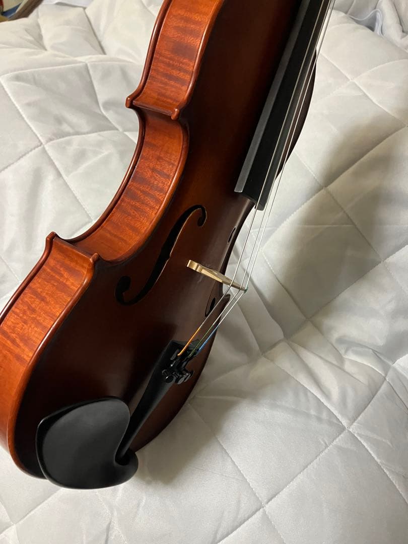 GLIGA 2000年GLIGA gama Ⅱ 4/4 三角型ケース バイオリン